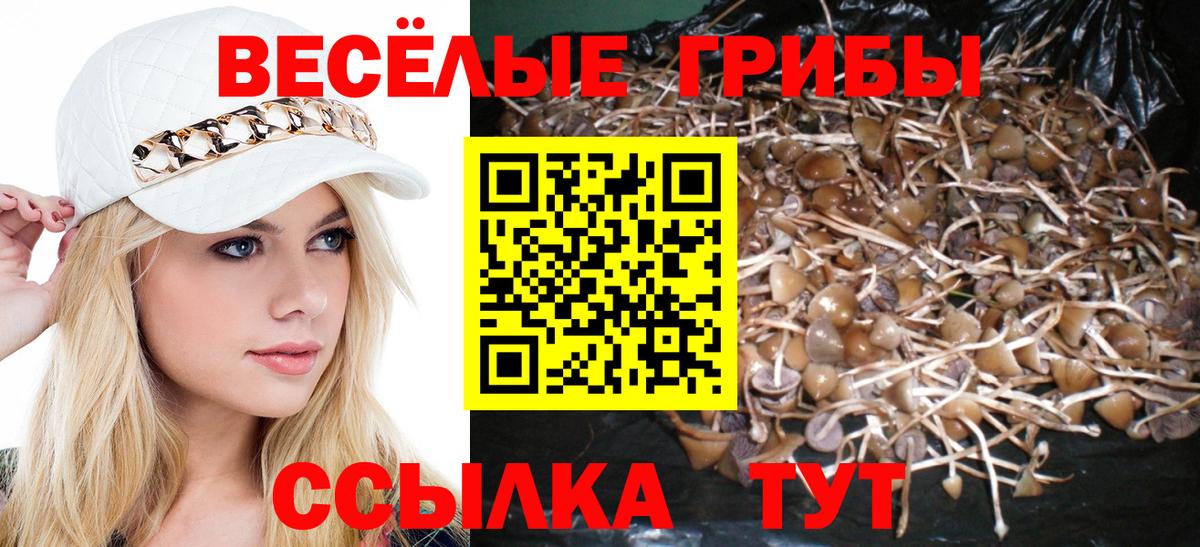 Нальчик  Псилоцибиновые грибы GOLDEN TEACHER  Вход с VPN 