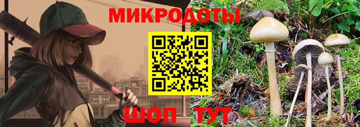 Псилоцибиновые грибы ЛСД Нальчик